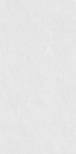BD75025--2