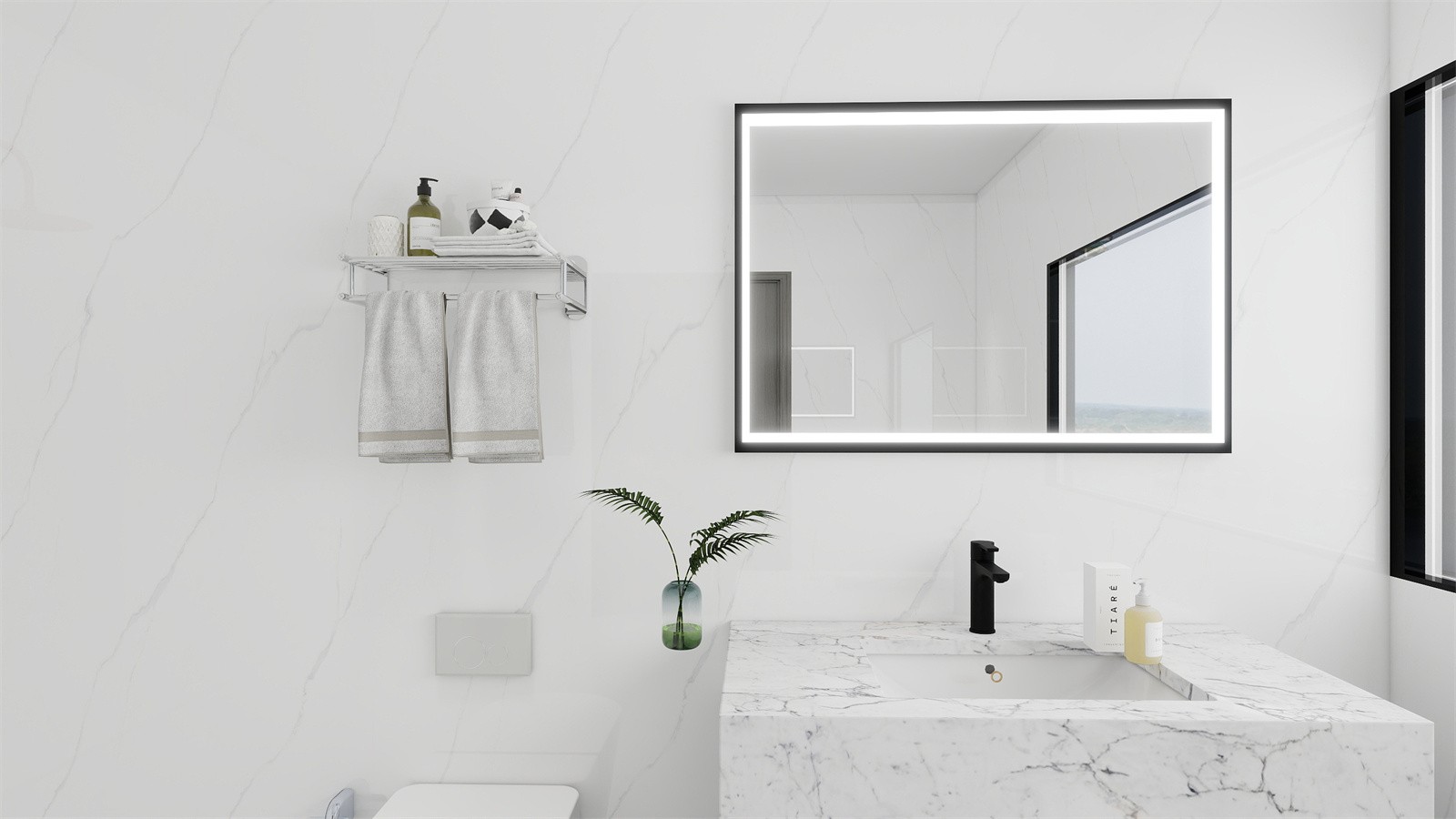 LF48001-卫生间-20251214-161331