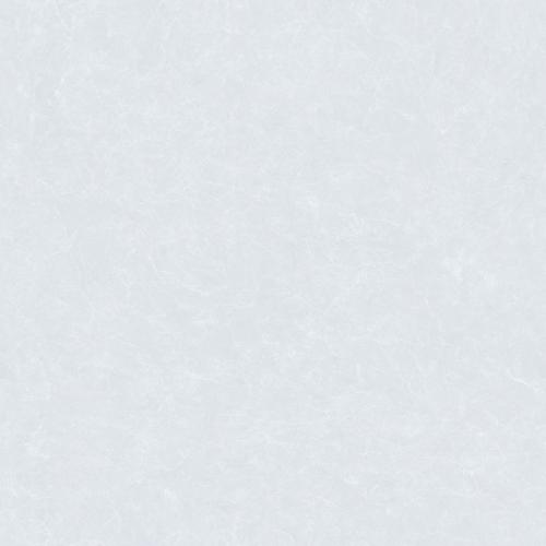 LF80JSR08_03