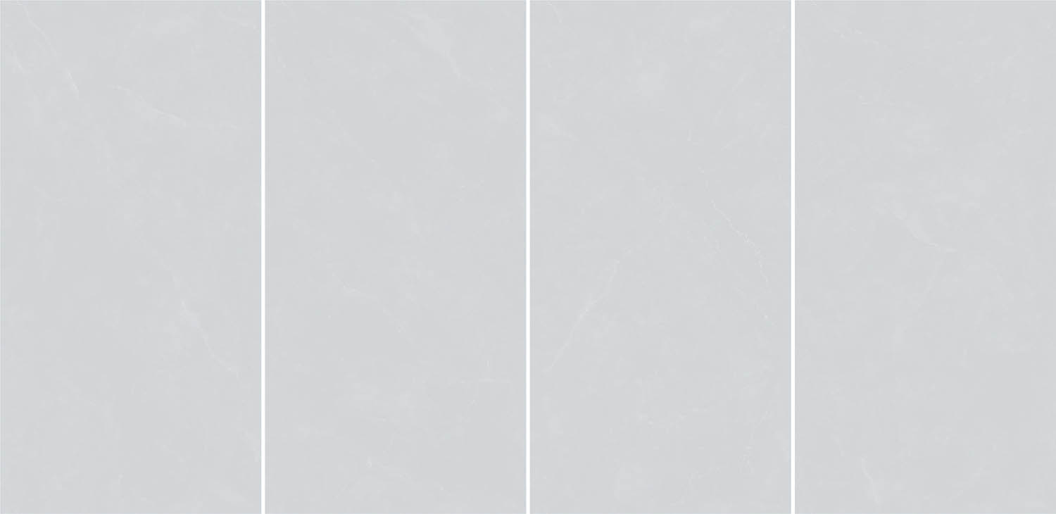 BD12022.jpg